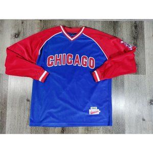 Delf Wear Pullover Sweater Large Embroidery Chicago Vintage